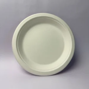 Round Plate 9 Inch