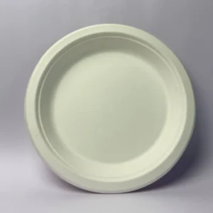 Round Plate 10 Inch