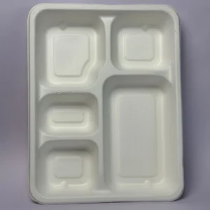 5 Compartment Meal Tray
