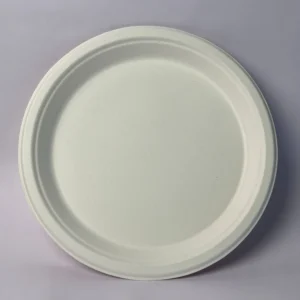Round Plate 11 Inch