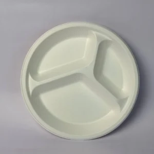 9 Inch 3 Compartment Round Plate