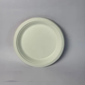 Round Plate 7 Inch