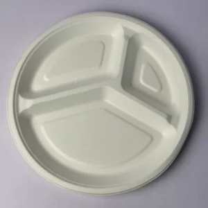 10 Inch 3 Compartment Round Plate